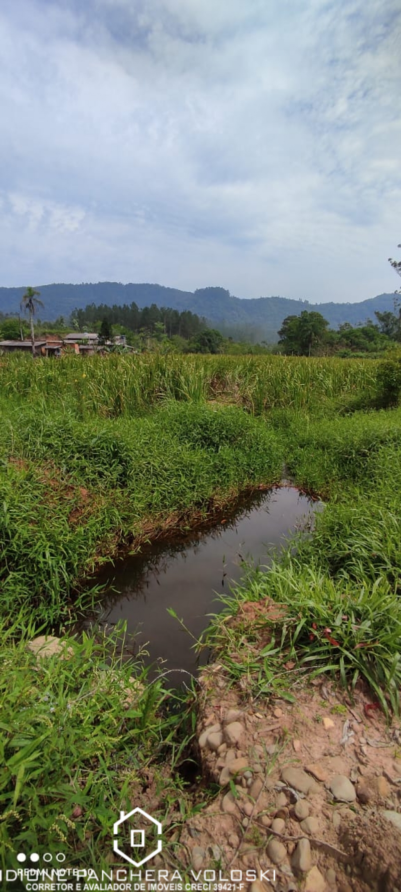 estrada geral morro chato - Turvo sc/SC