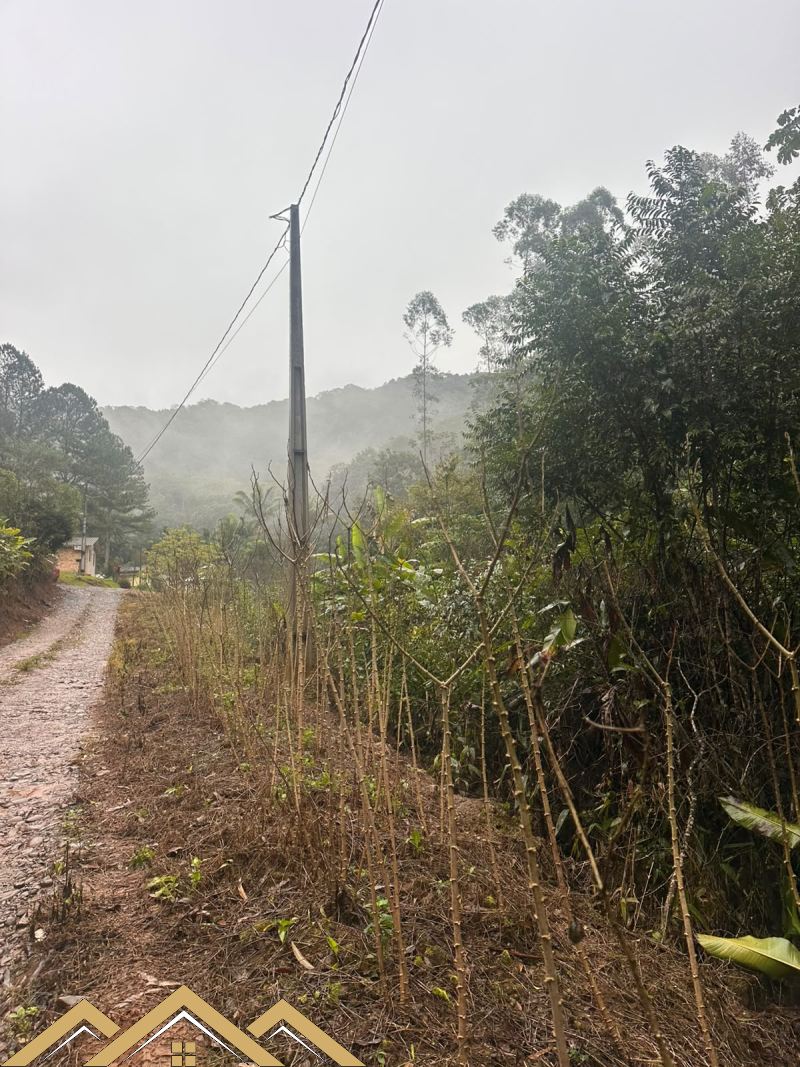 Estrada geral Morro Chato - Turvo sc/SC
