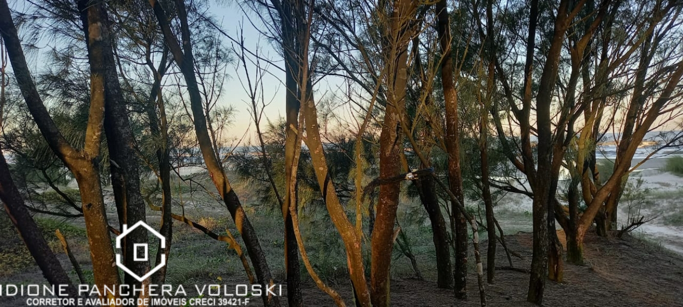 avenida santa Catarina - Balneário arroio do Silva /SC