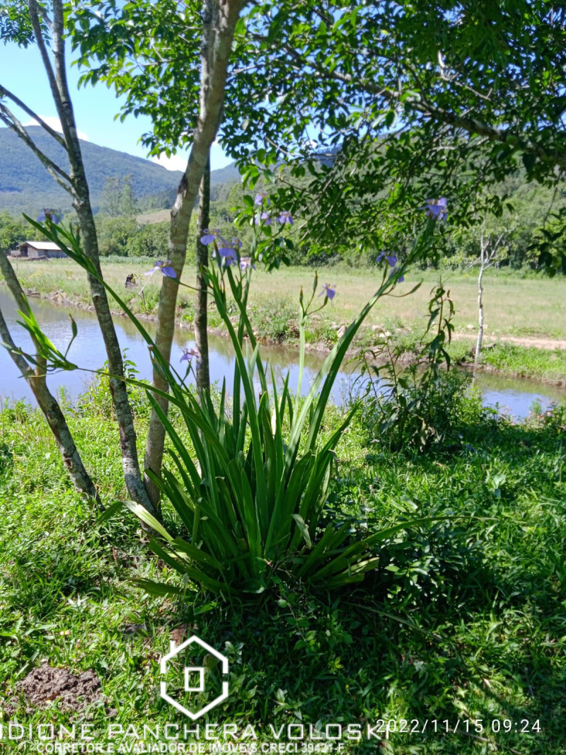 Próximo a SC 285, PE da Serra da Rocinha - Timbé do sul/SC