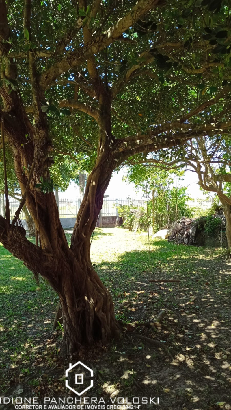 Rua Belmira A. Nunes  - Balneário arroio do Silva /SC