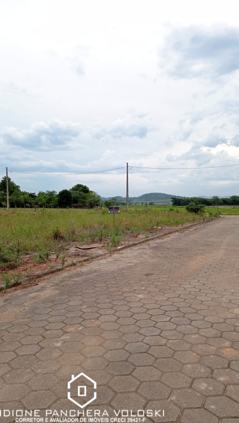 Alameda das Palmeiras