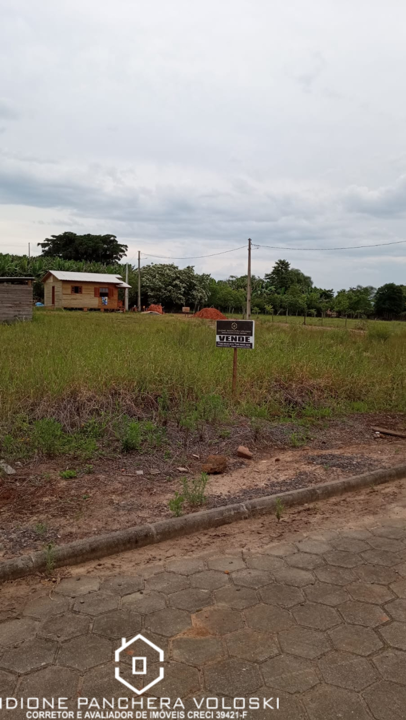 Alameda das Palmeiras - Ermo /SC