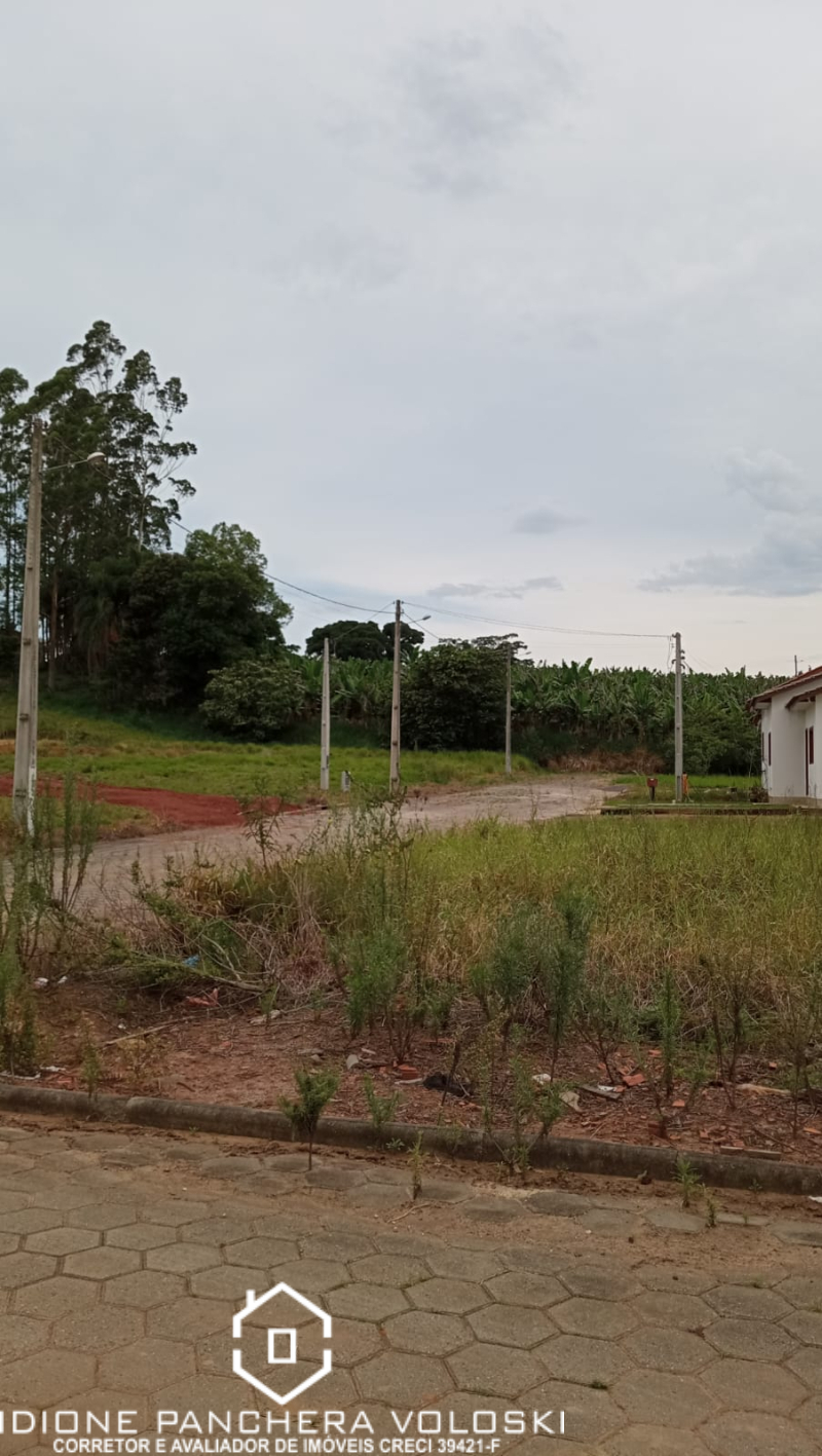 Alameda das Palmeiras - Ermo /SC