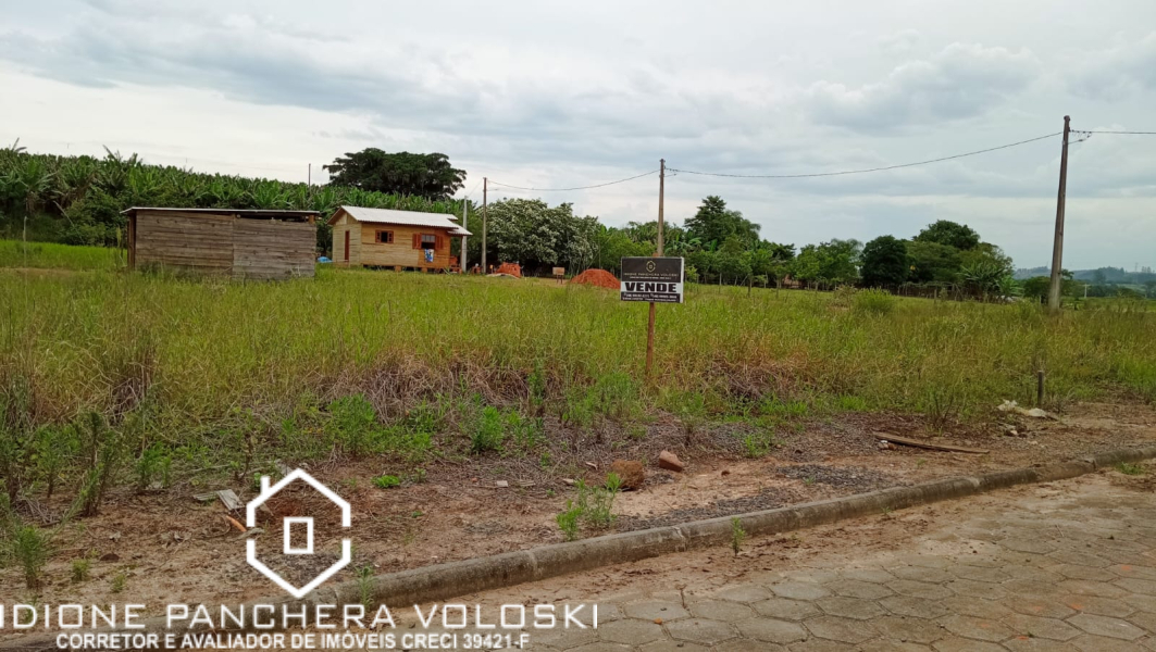 Alameda das Palmeiras - Ermo /SC