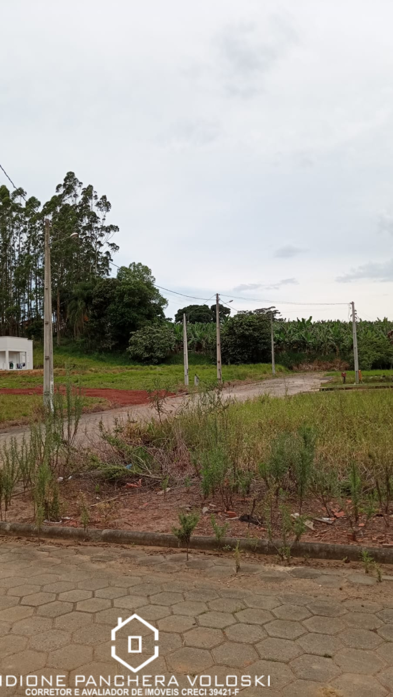 Alameda das Palmeiras - Ermo /SC