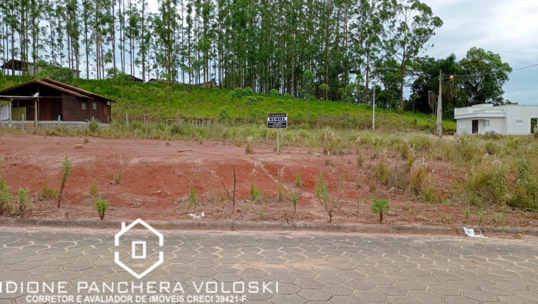 Alameda das Palmeiras