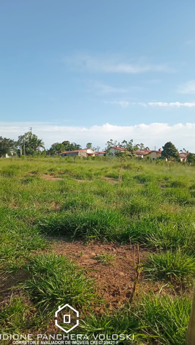 Rua Joaquim Prudencio - Ermo /SC