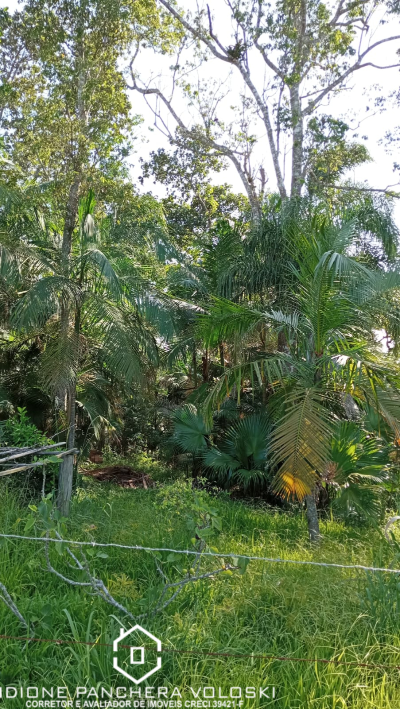 Tranqueiras  - Meleiro/SC