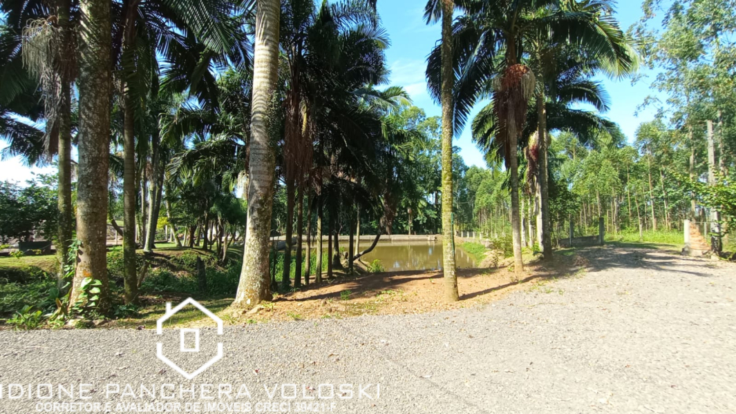 Estrada Geral - Turvo sc/SC