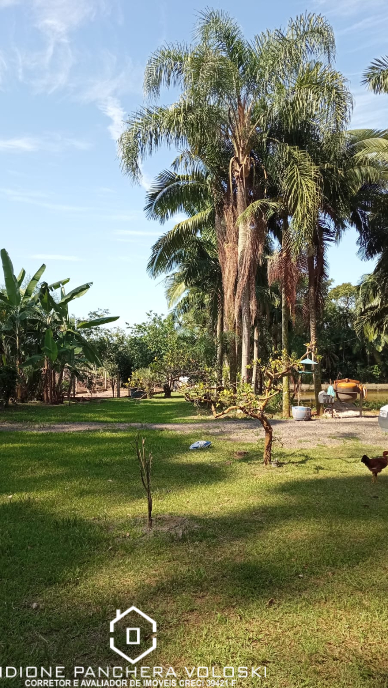 Estrada Geral - Turvo sc/SC