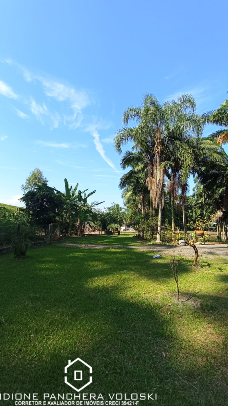 Estrada Geral - Turvo sc/SC