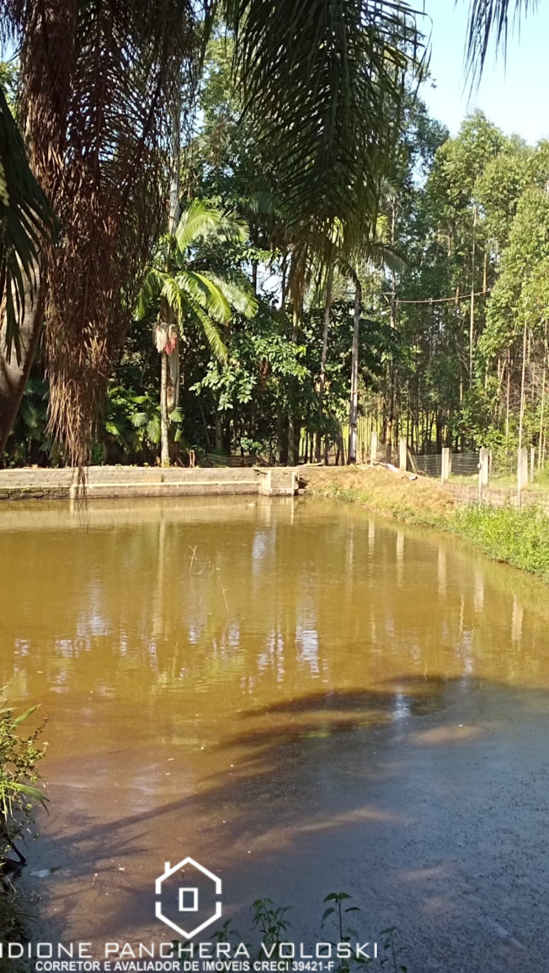 Estrada Geral - Turvo sc/SC