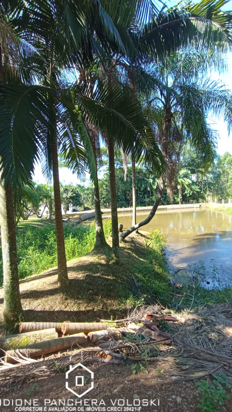 Estrada Geral - Turvo sc/SC