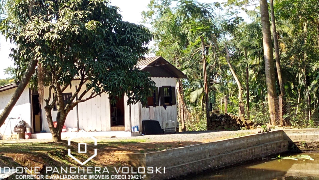 Estrada Geral - Turvo sc/SC