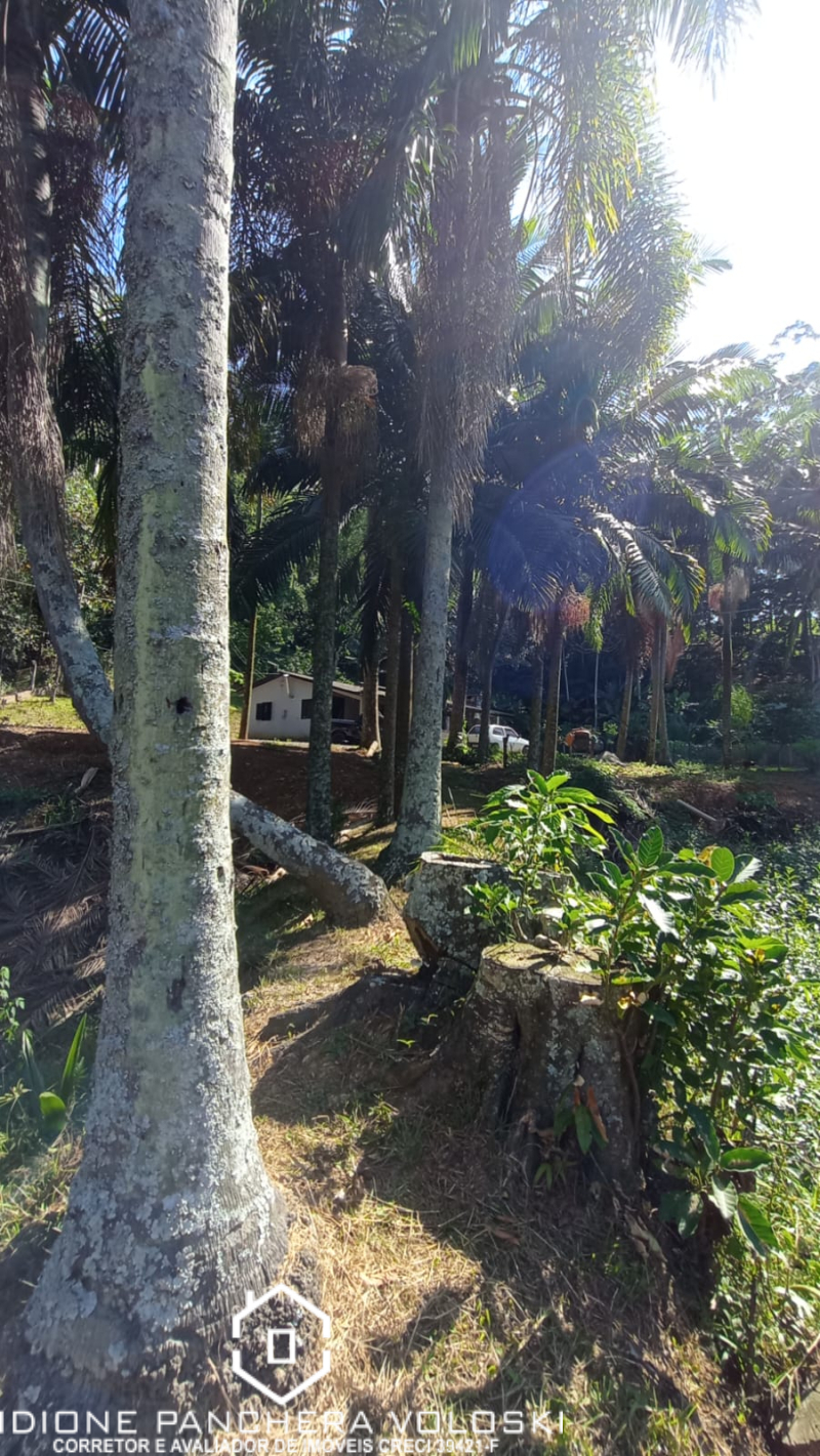 Estrada Geral - Turvo sc/SC