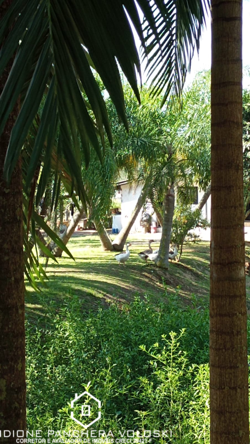 Estrada Geral - Turvo sc/SC