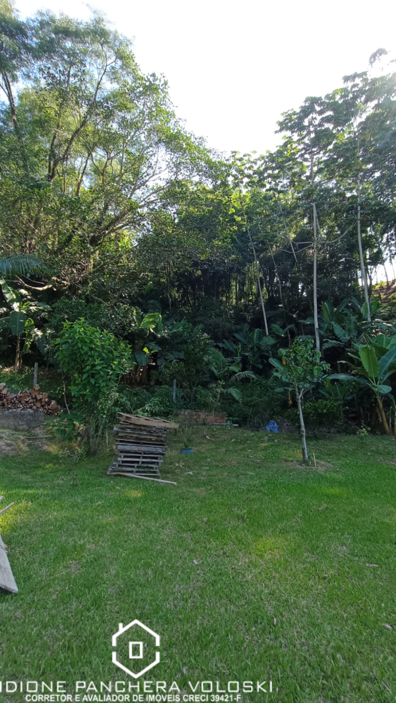 Estrada Geral - Turvo sc/SC