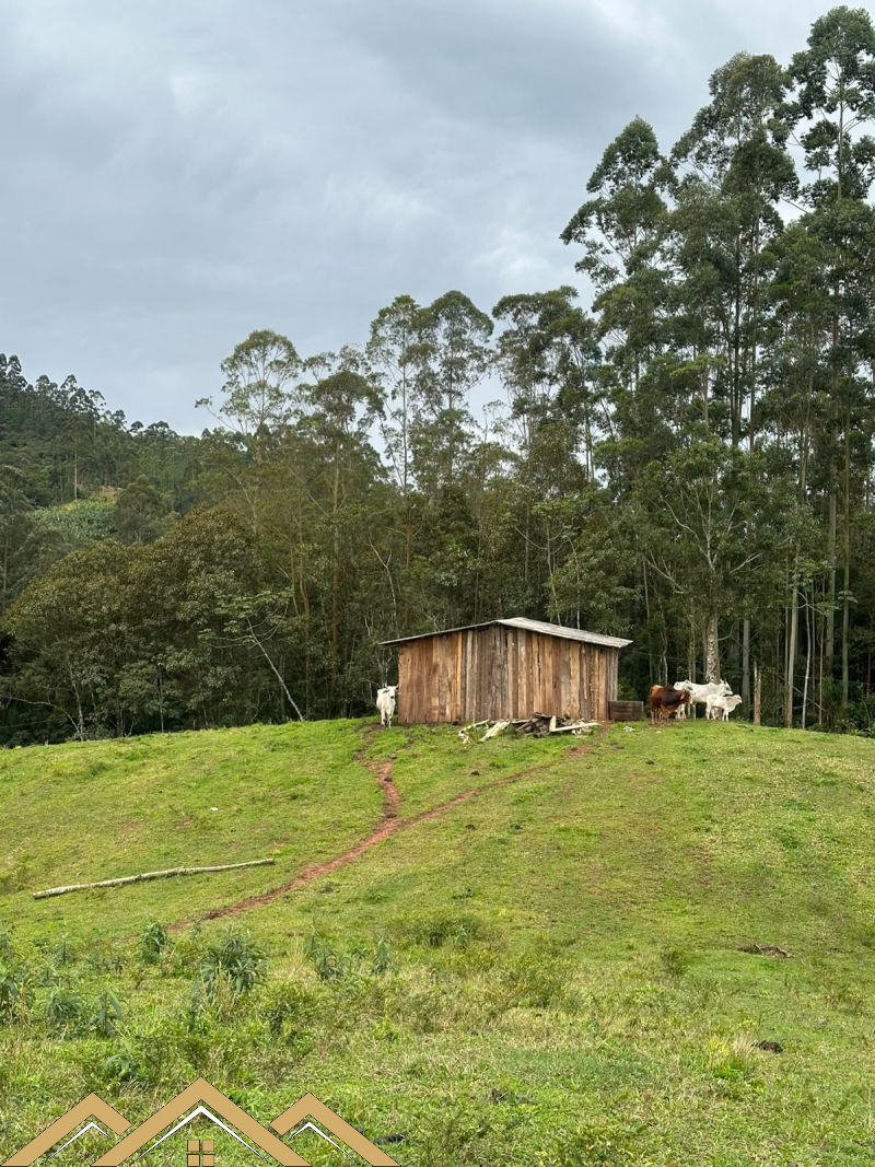 Estrada Geral - Turvo sc/SC