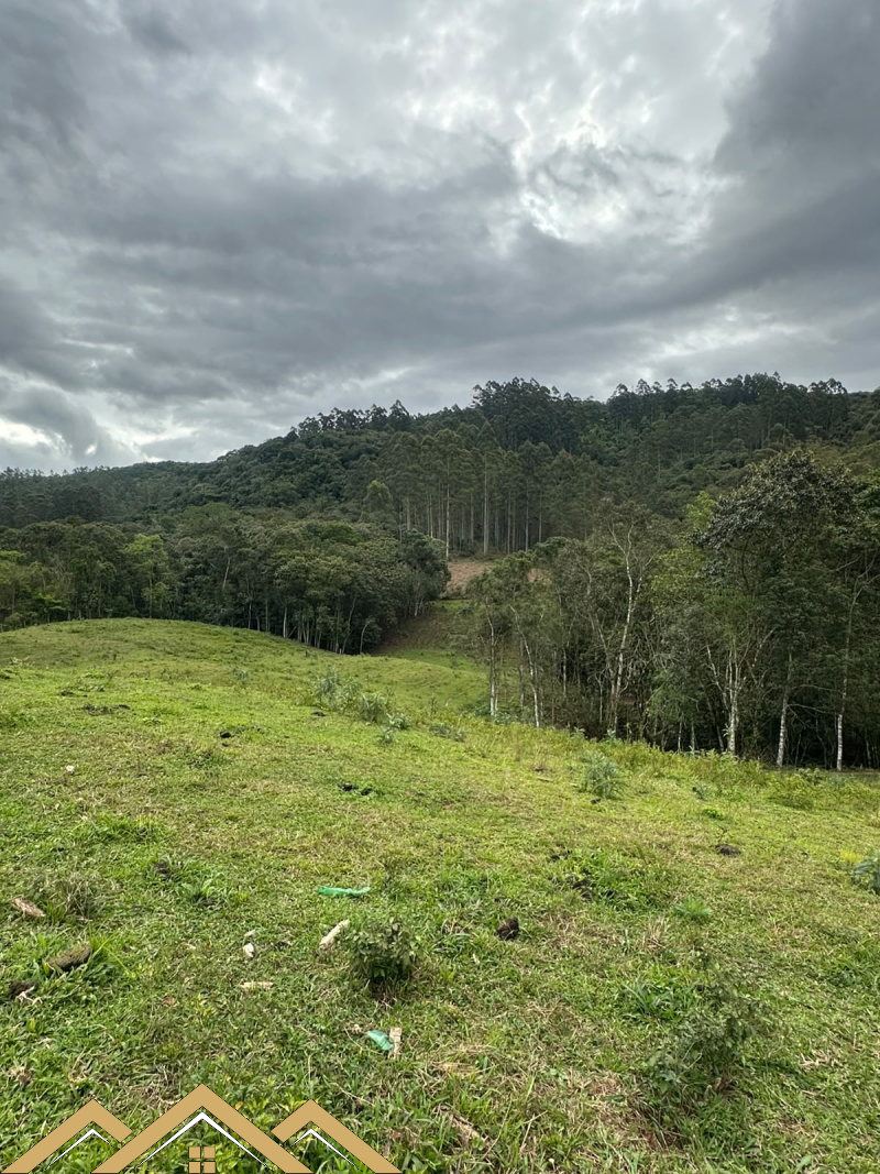 Estrada Geral - Turvo sc/SC