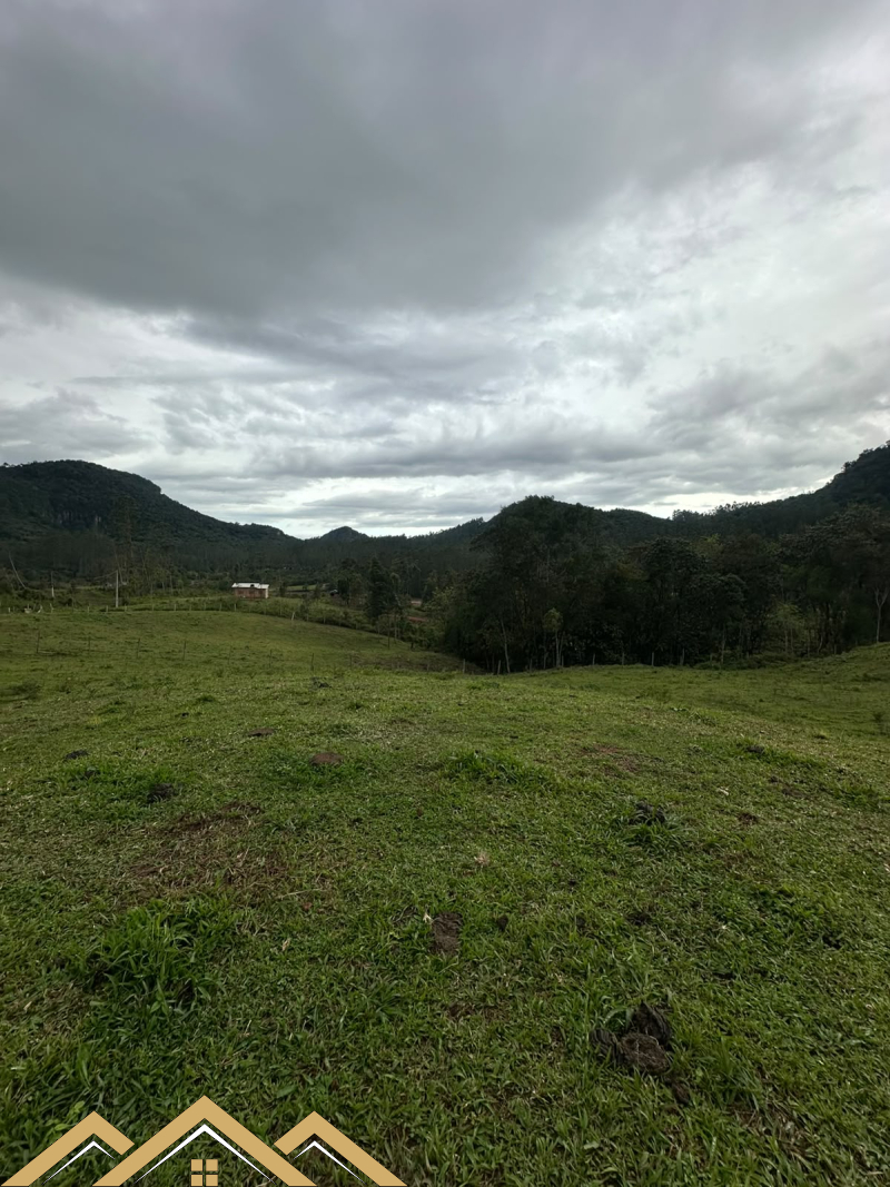 Estrada Geral - Turvo sc/SC