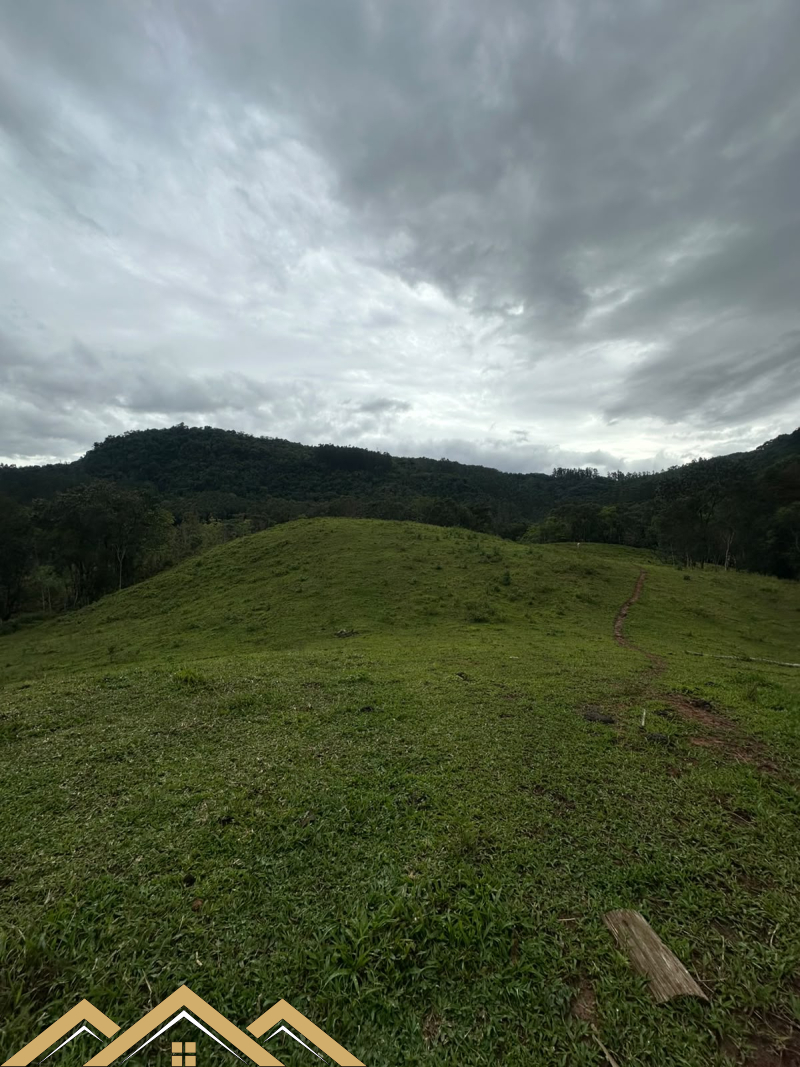 Estrada Geral - Turvo sc/SC