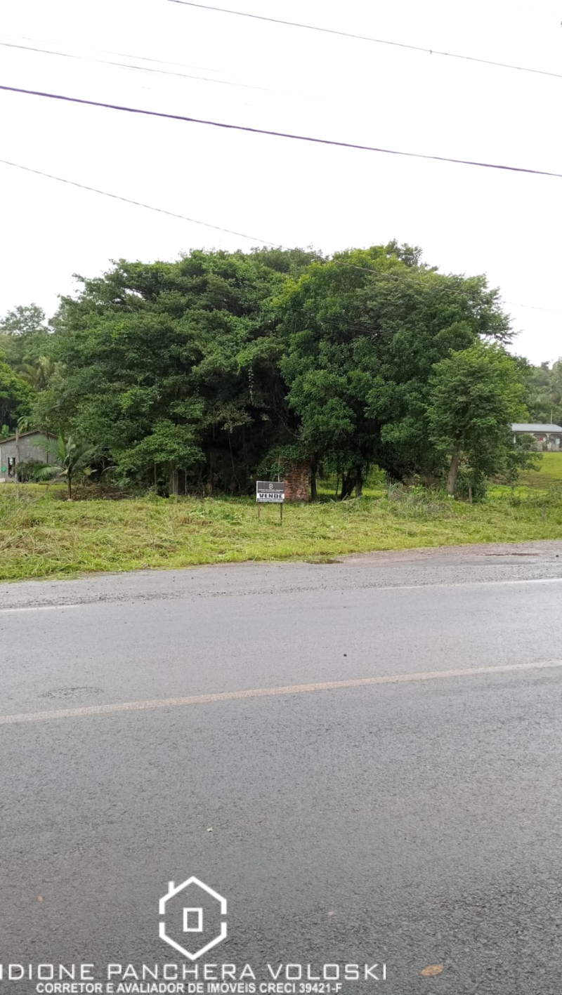 Estrada geral - Turvo sc/SC