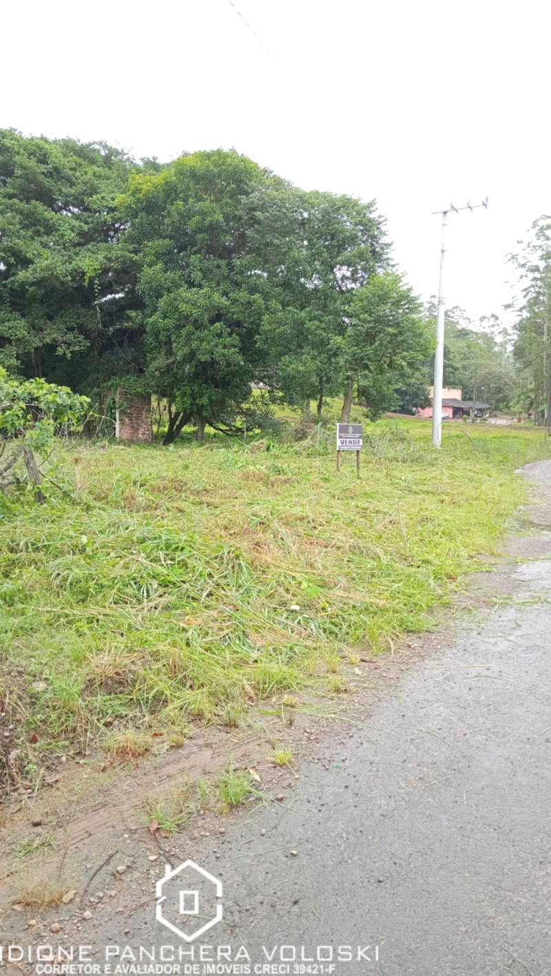 Estrada geral - Turvo sc/SC