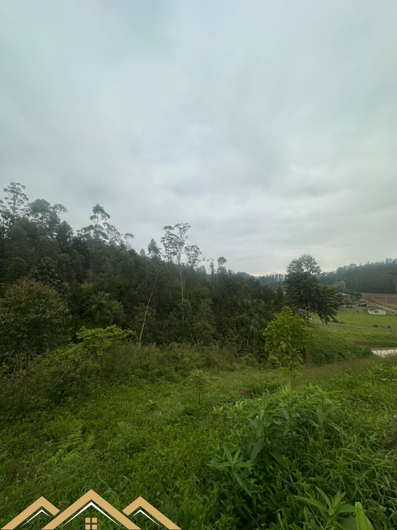 Estrada geral - Turvo sc/SC