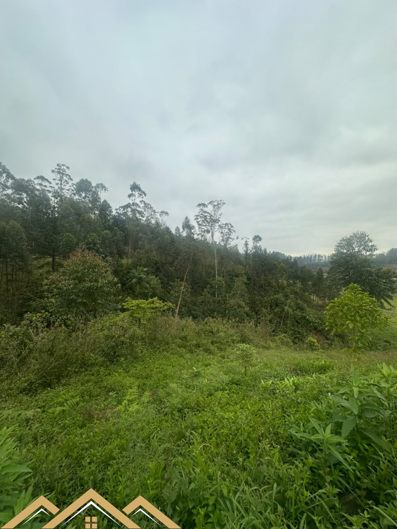 Estrada geral - Turvo sc/SC