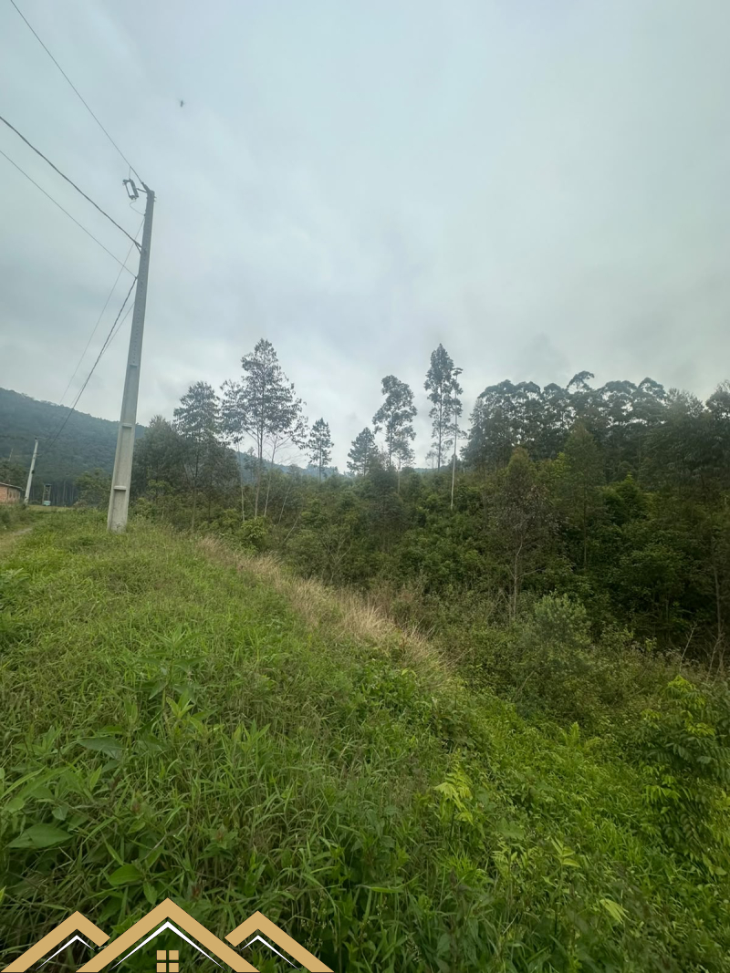 Estrada geral - Turvo sc/SC