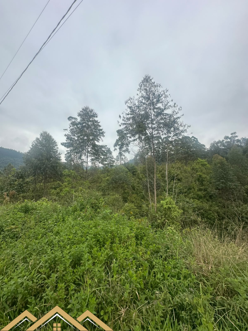 Estrada geral - Turvo sc/SC