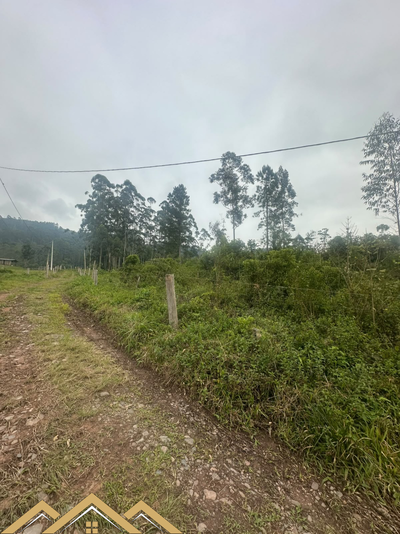 Estrada geral - Turvo sc/SC