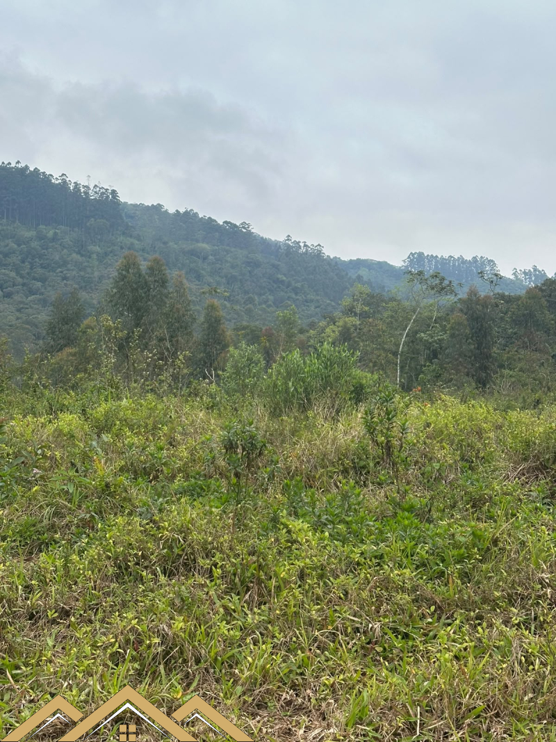 Estrada geral - Turvo sc/SC