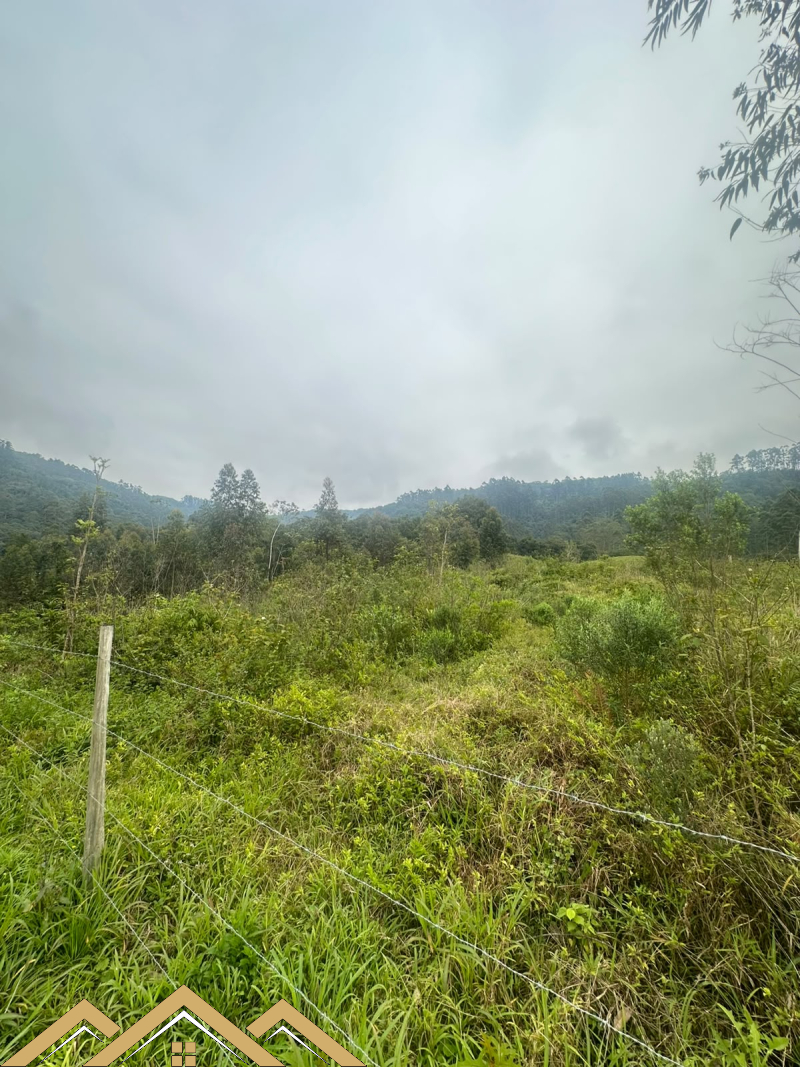 Estrada geral - Turvo sc/SC