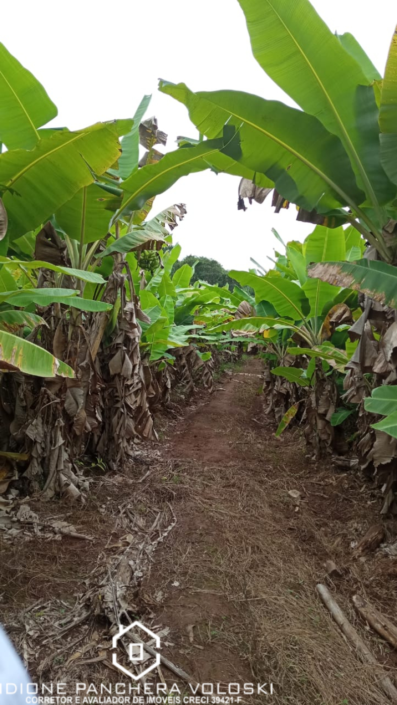 Est Geral Garuva - Sombrio/SC