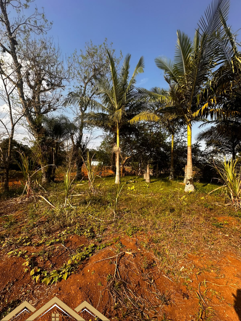 Estrada Geral  - Morro grande /SC