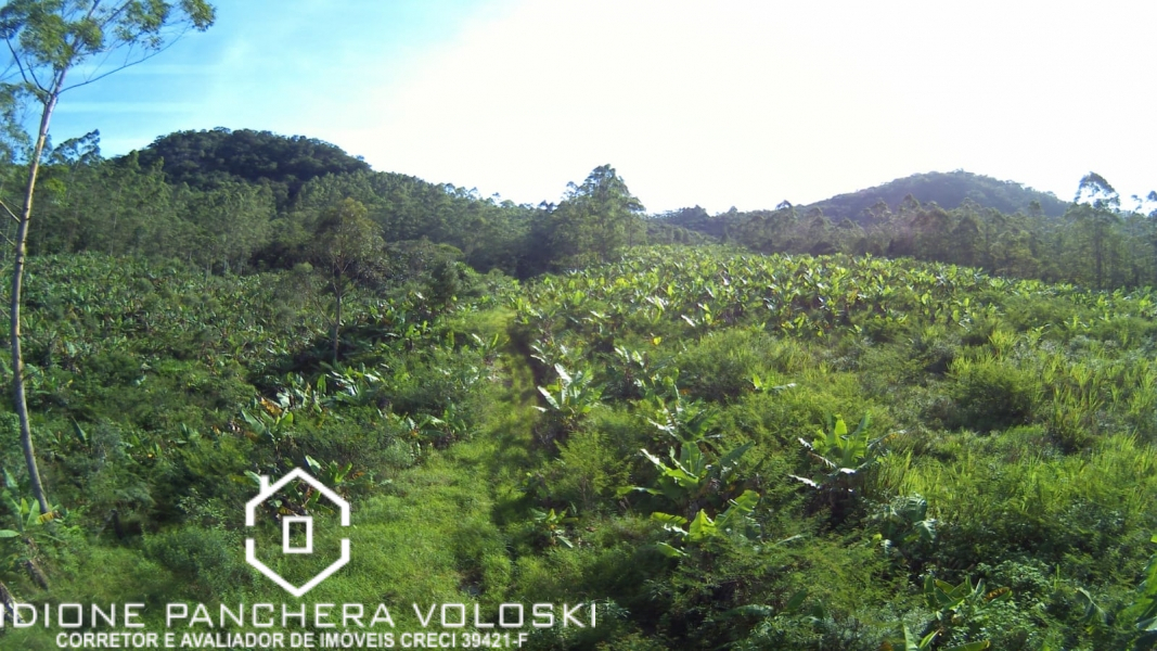 ESTRADA GERAL MORRO CHATO - Turvo sc/SC